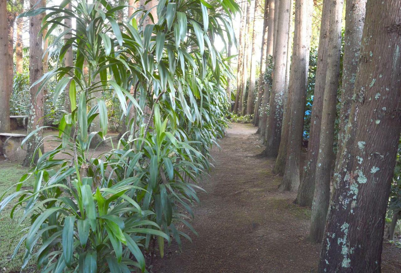 Quinta De Santana - Queimadas Furnas  Luaran gambar